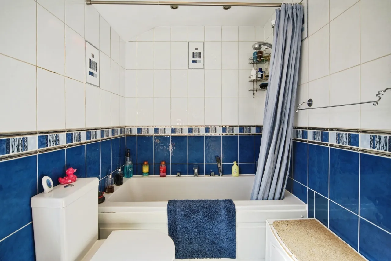 Burford Road, East Ham, London, E6, photo 10