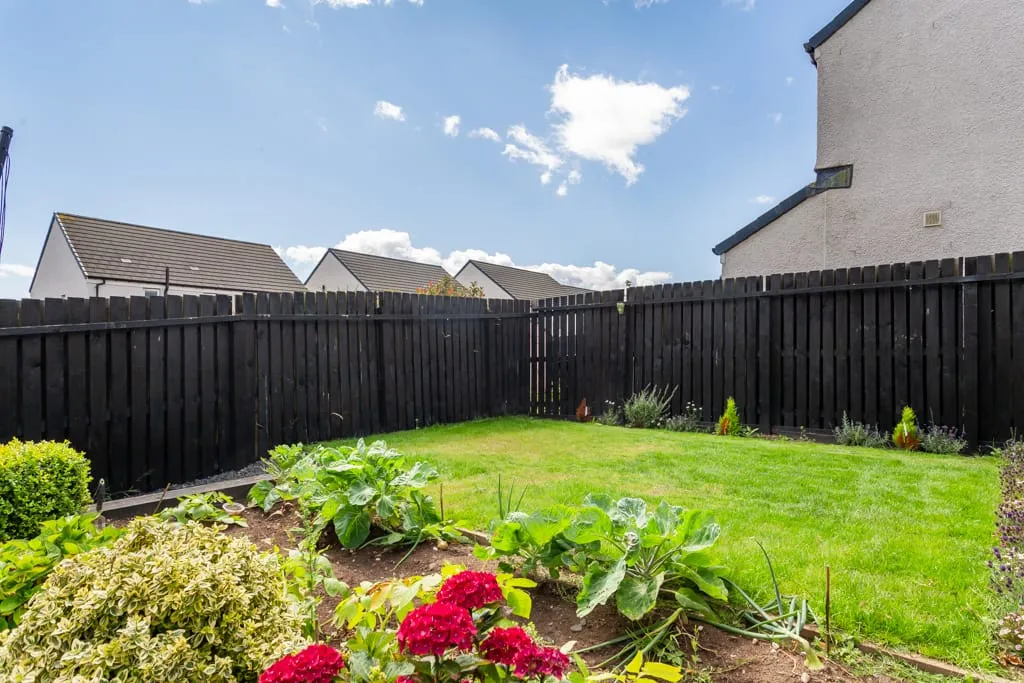 Doug Ford Street, Arbroath, Angus, DD11 3FD, photo 31