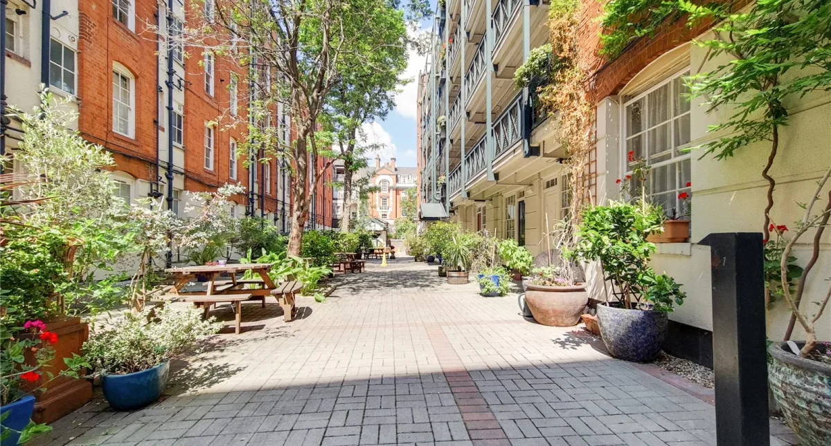 Martlett Court Covent Garden ,WC2B, photo 5