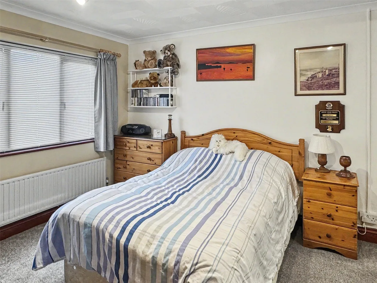Halgavor Park, Bodmin, PL31, photo 9