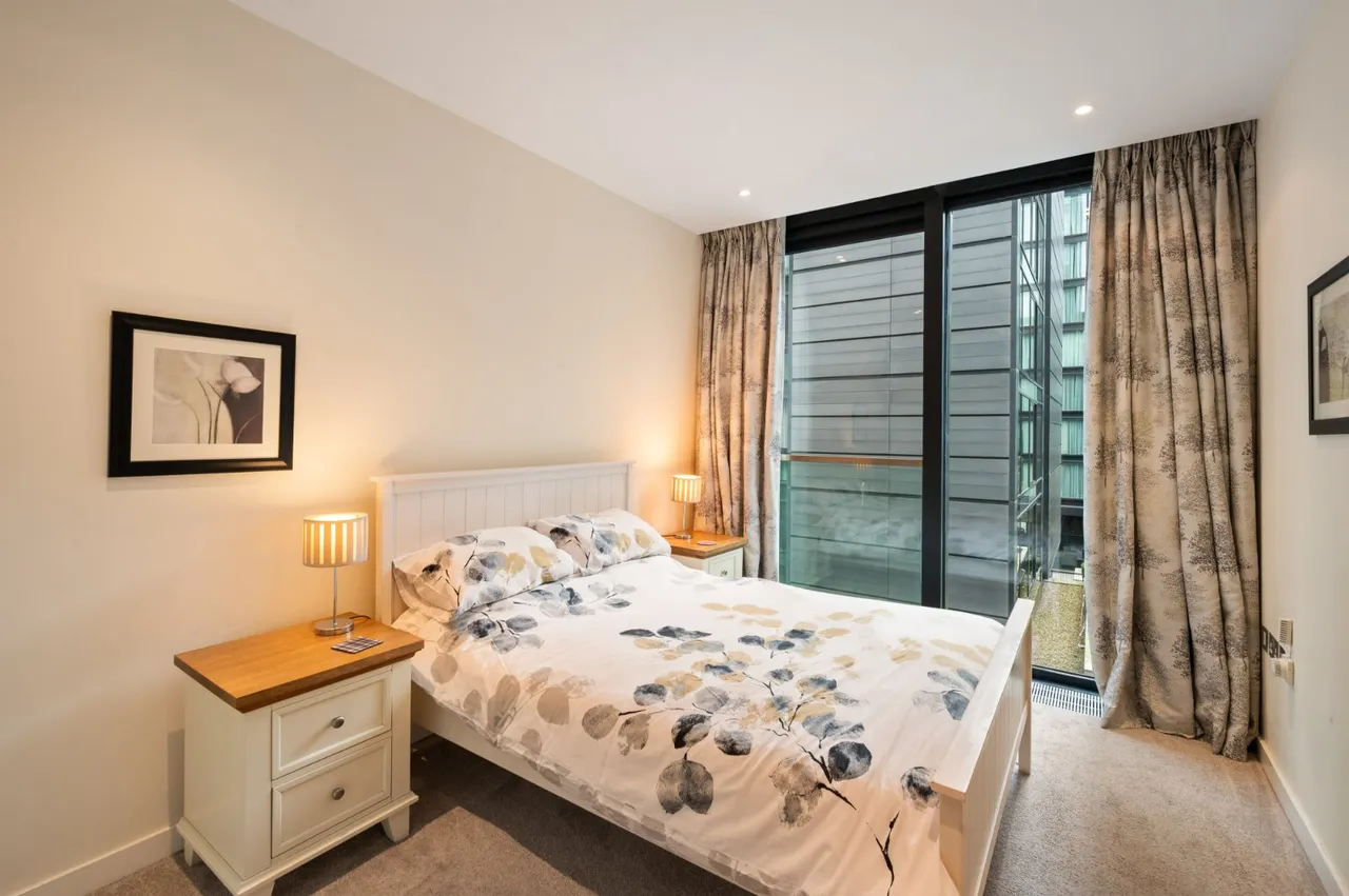 Simpson Loan, Edinburgh, EH3, photo 8