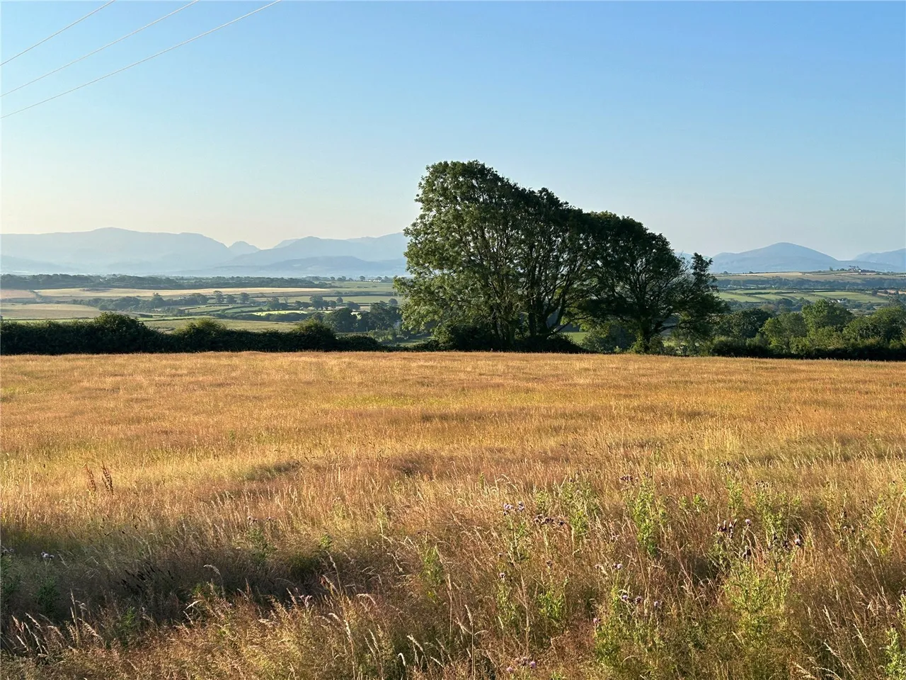 LLanbedrgoch, Talwrn, LL77, photo 20