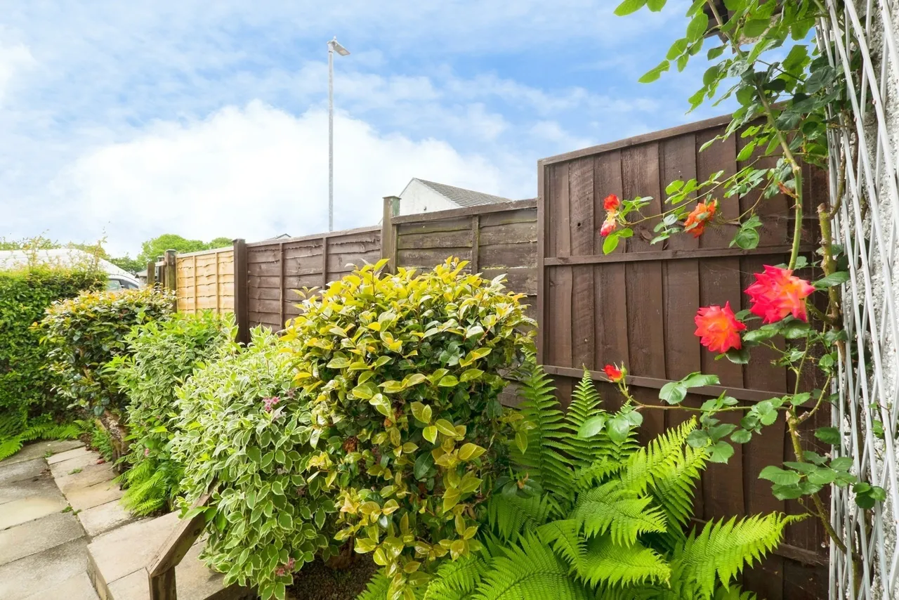 Tremaine Close, Penzance, TR18, photo 14