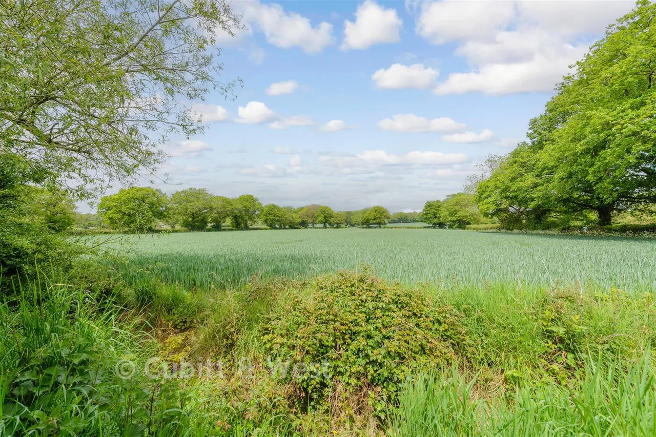 Whitewood Lane, Horne, RH6, photo 19