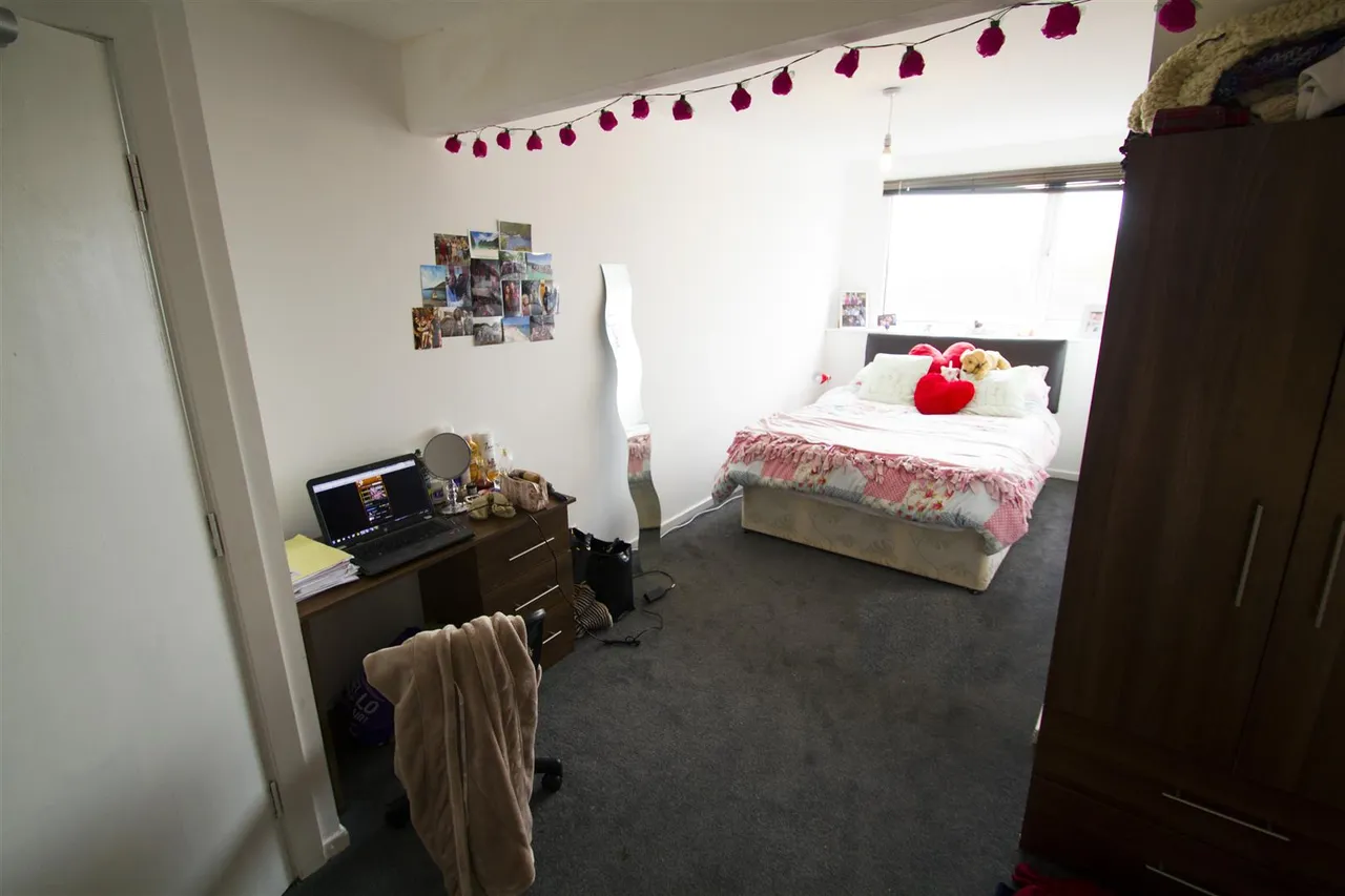 Ebor Mount, Hyde Park, LS6, photo 6