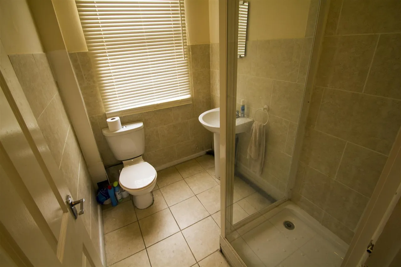 Ebor Mount, Hyde Park, LS6, photo 7
