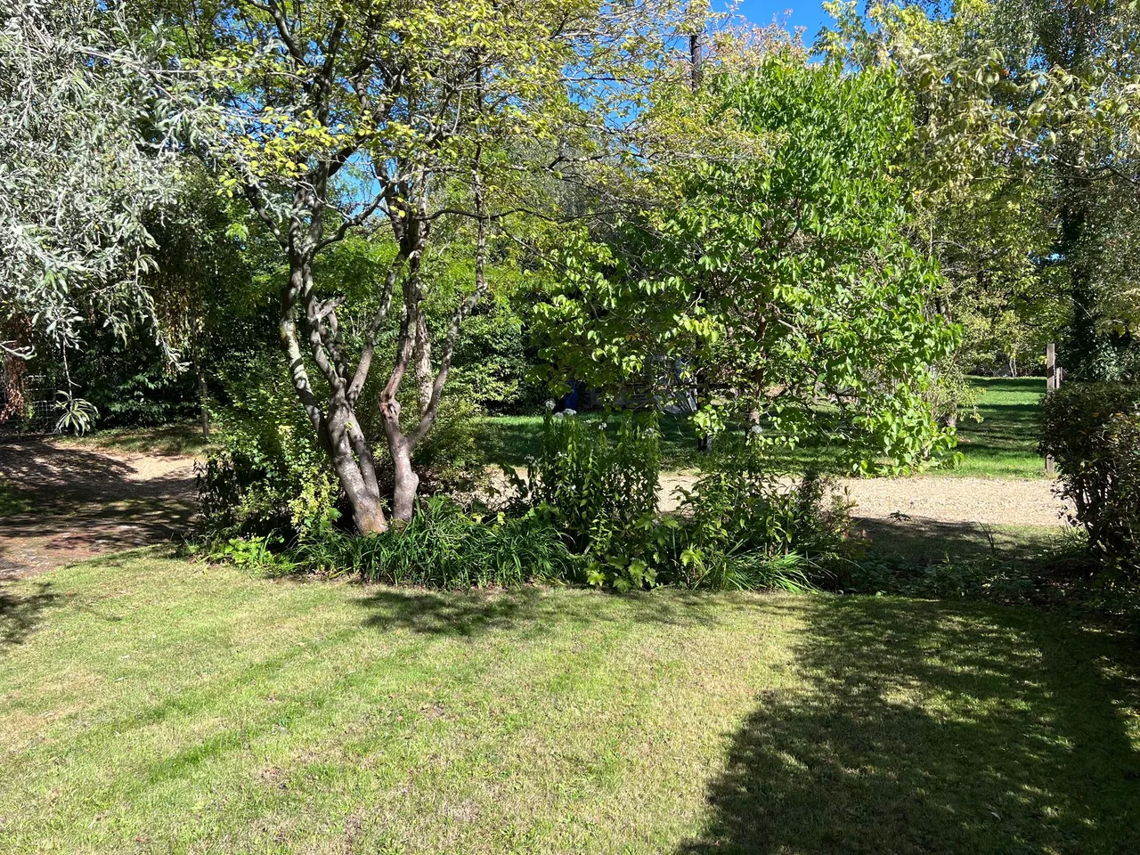 The Common, Cranleigh, GU6, photo 22