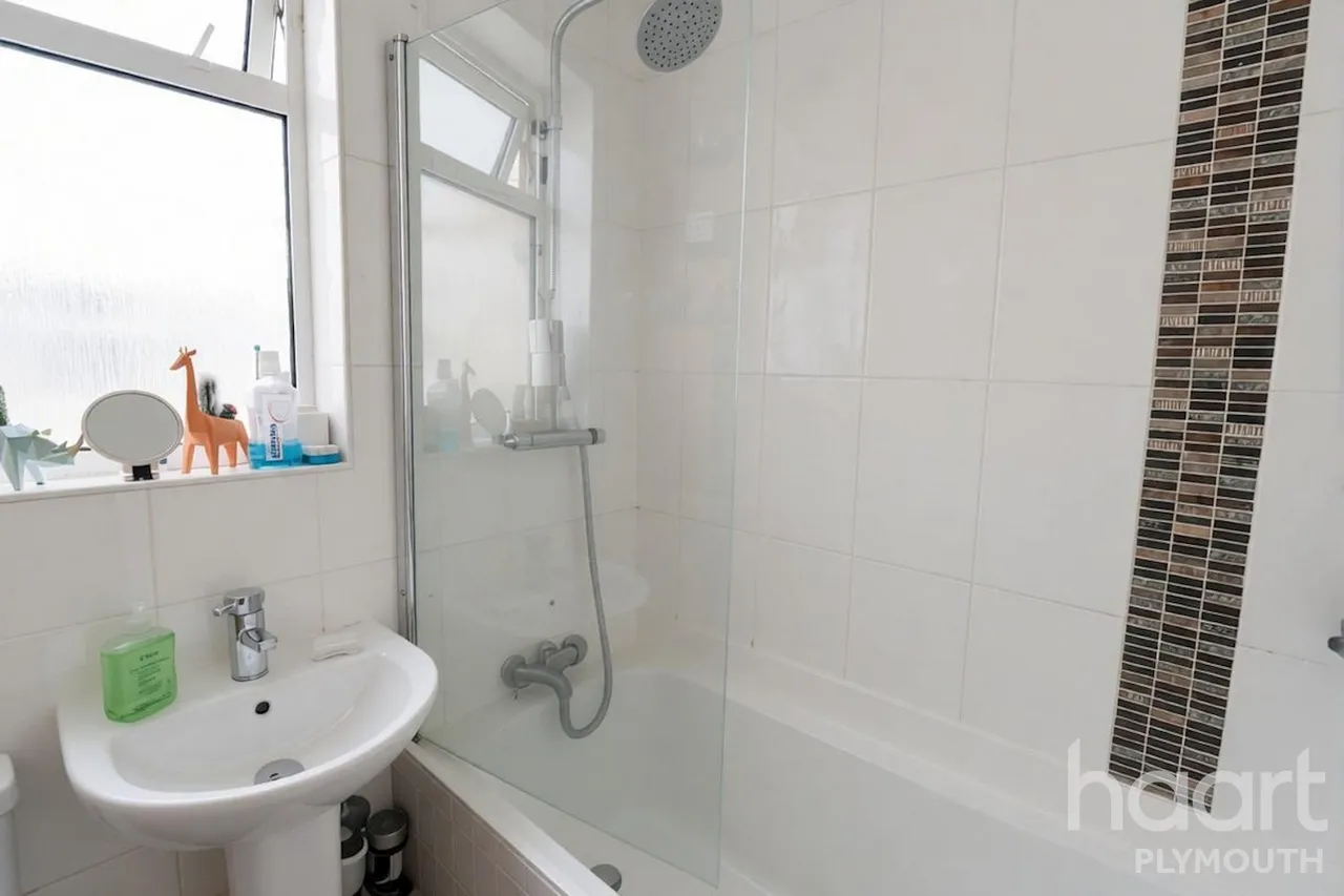 Wilton Street, Plymouth, PL1, photo 18