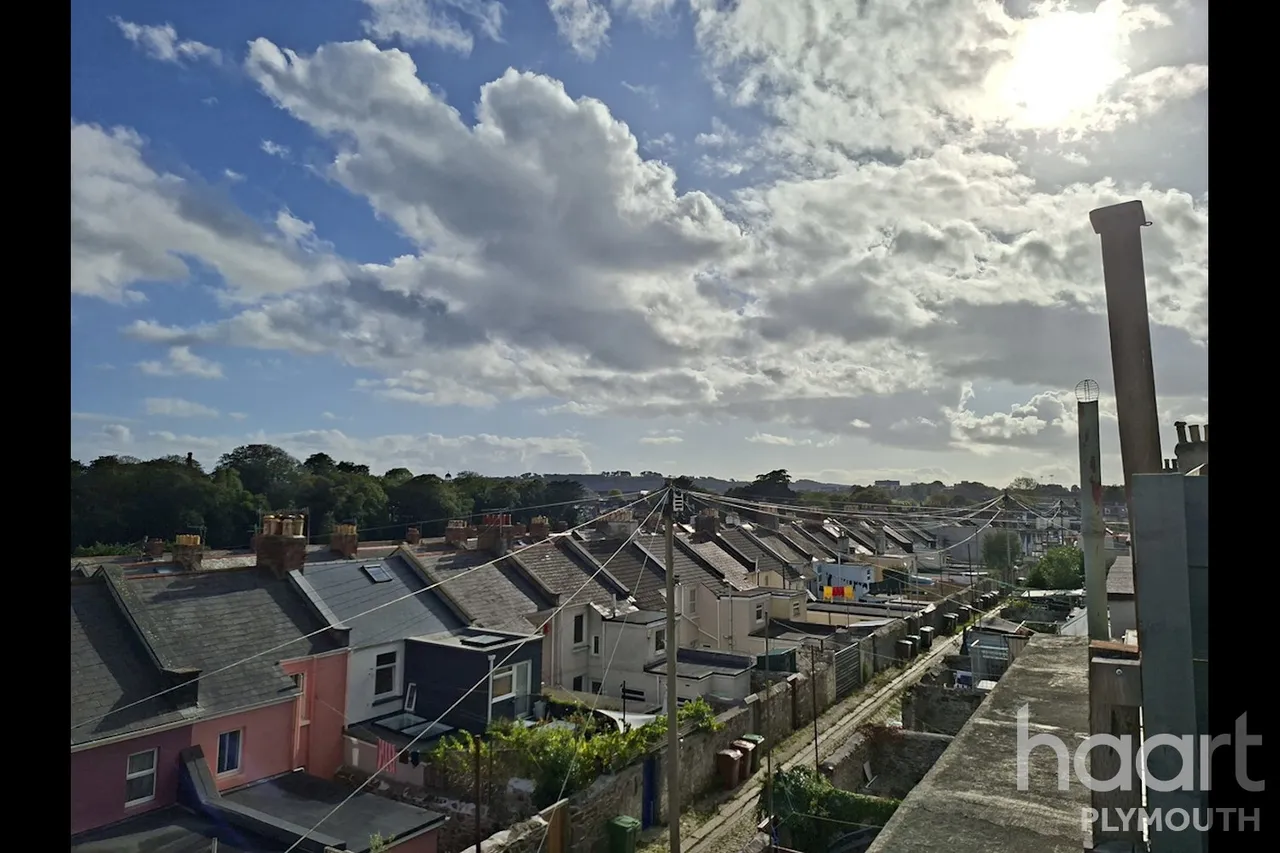 Wilton Street, Plymouth, PL1, photo 20