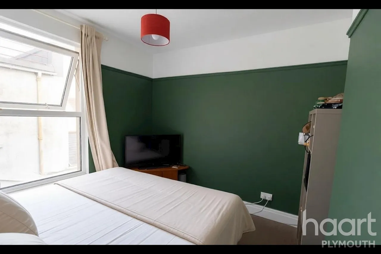 Wilton Street, Plymouth, PL1, photo 13