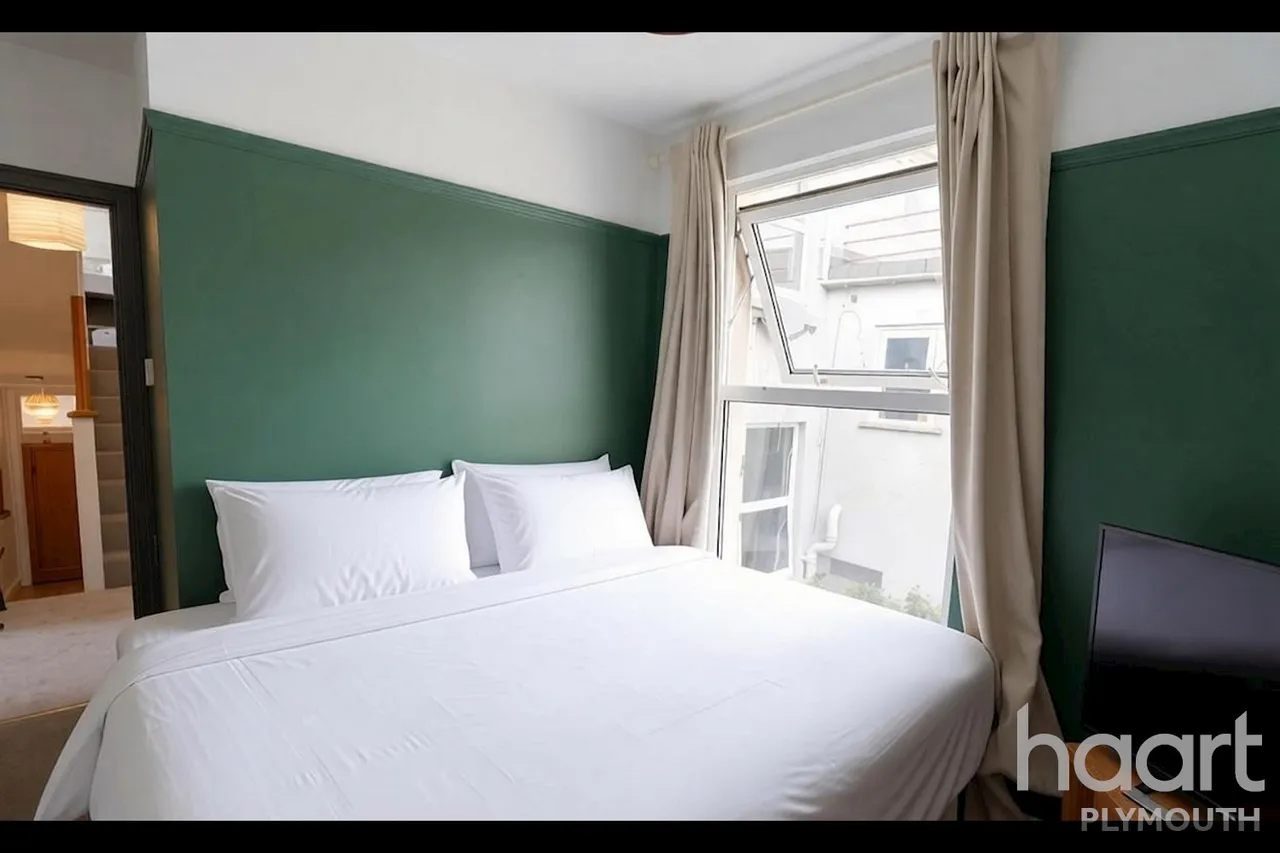 Wilton Street, Plymouth, PL1, photo 14