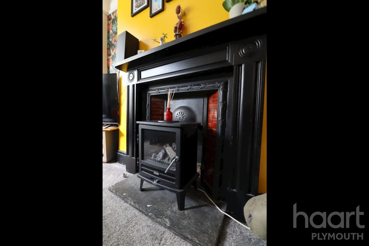 Wilton Street, Plymouth, PL1, photo 22