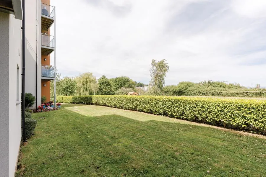 Kittiwake Drive, Portishead, BS20, photo 11