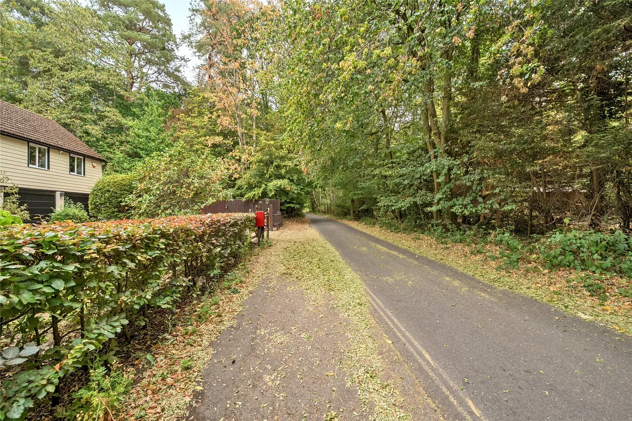 Elm Corner, Ockham, GU23, photo 25