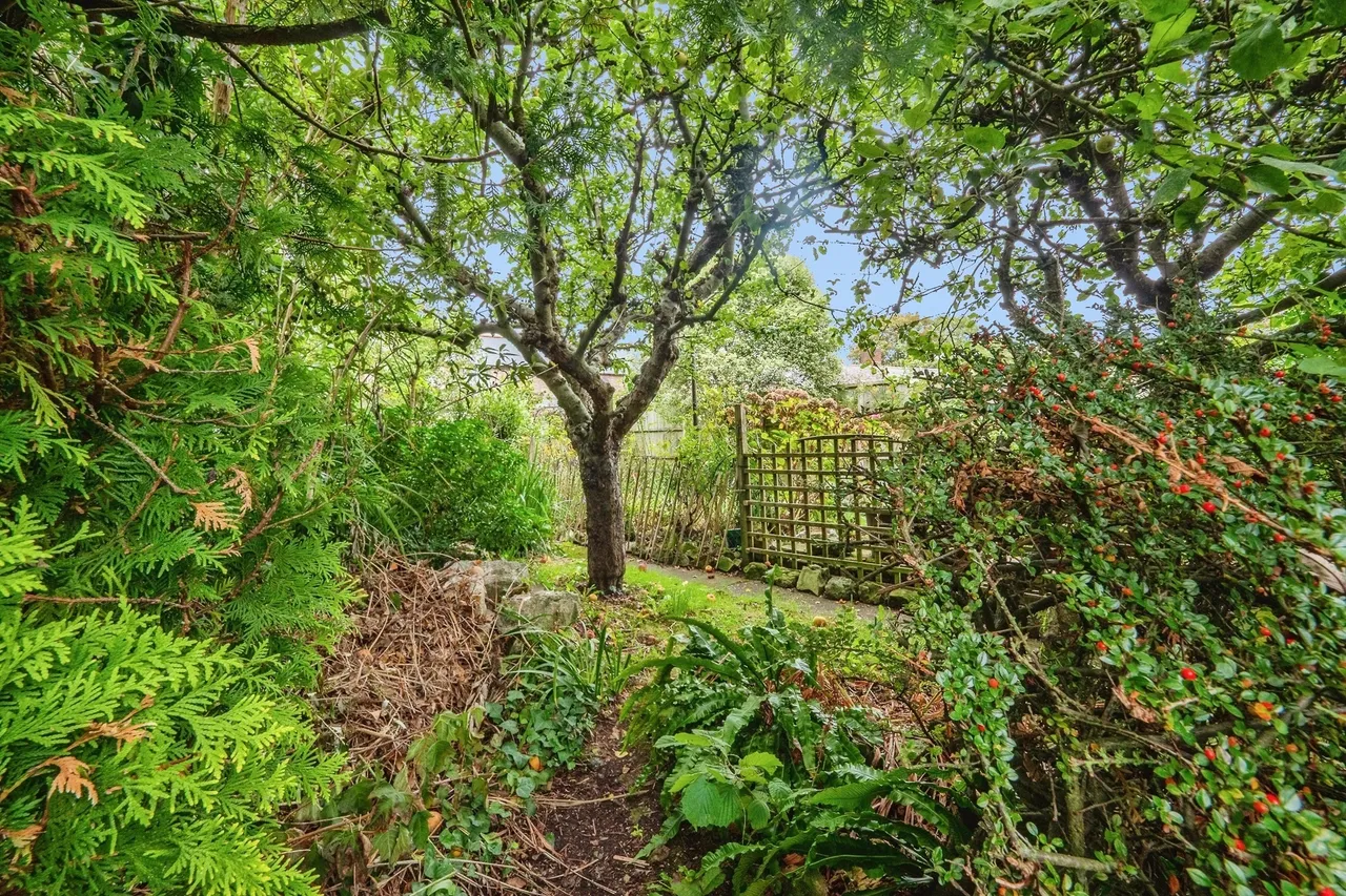 Goose Hill, Portesham, DT3, photo 16