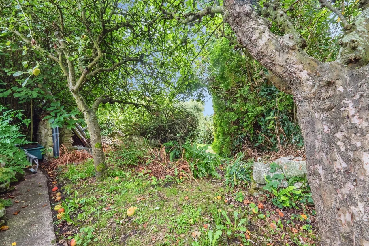 Goose Hill, Portesham, DT3, photo 10