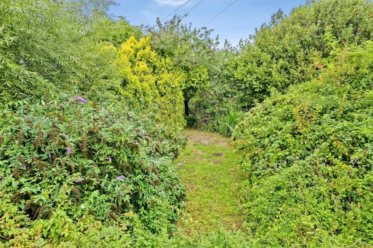 Goose Hill, Portesham, DT3, photo 23