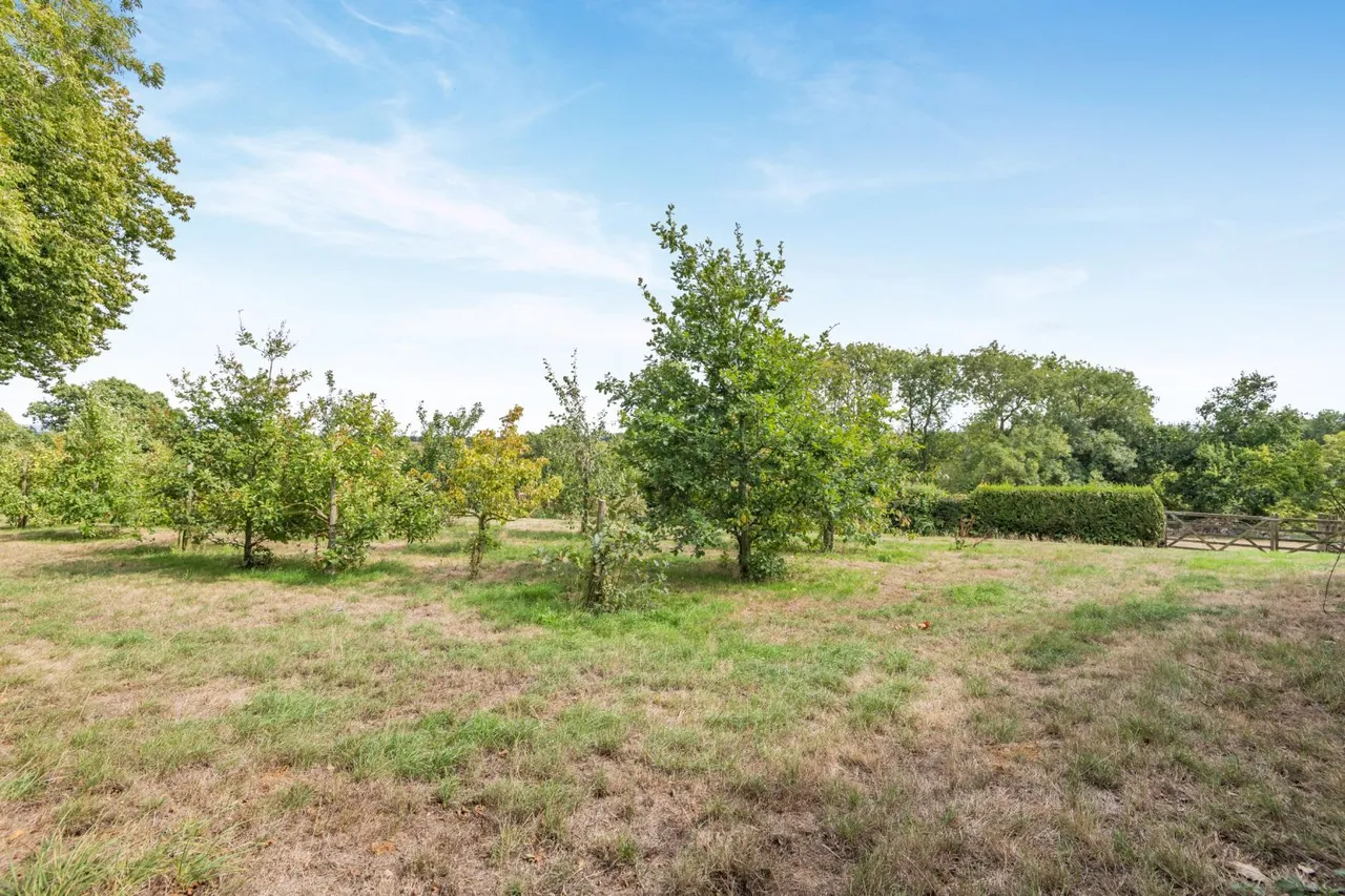 Park Gate, Elham, CT4, photo 22