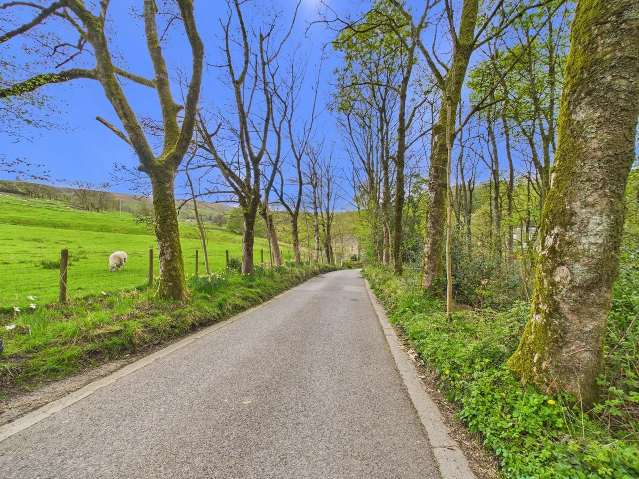Sunnybank Cottages, Helmshore, BB4, photo 2