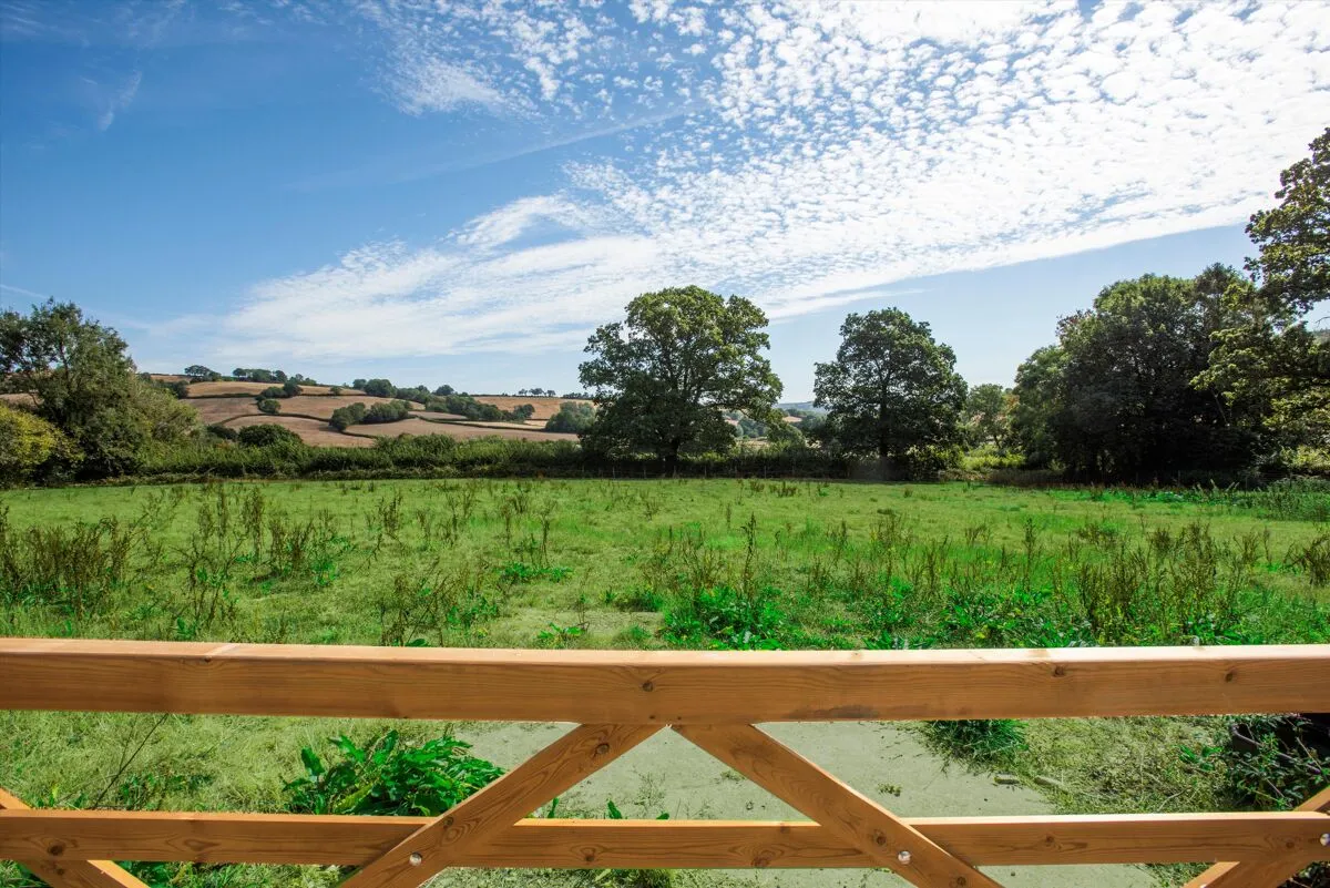 Dalwood, Axminster, EX13, photo 22