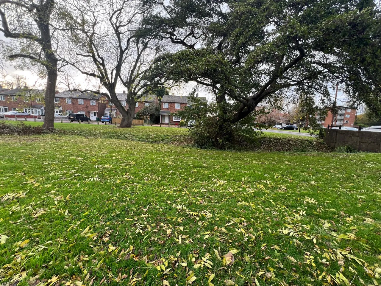 Fenside Avenue, Coventry, CV3, photo 10