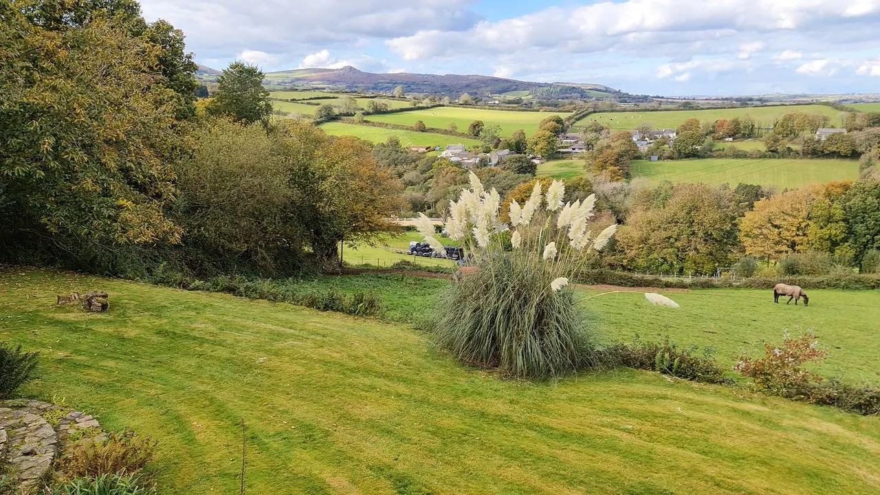 Caradon Town, Liskeard, PL14, photo 15