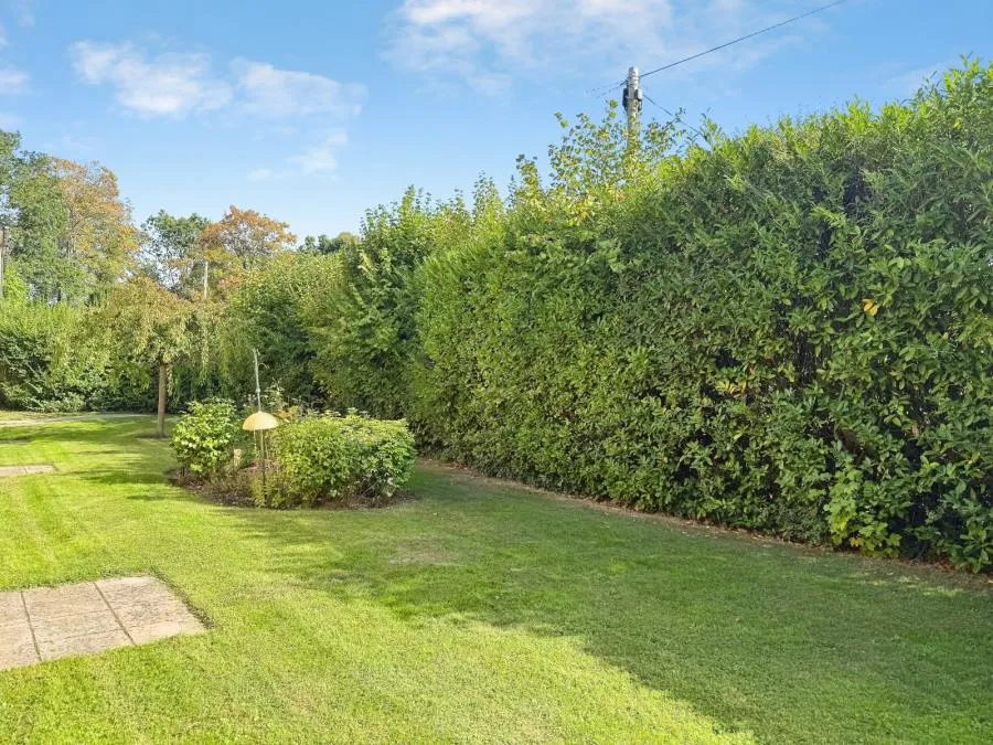 New Road, Crowthorne, RG45, photo 4