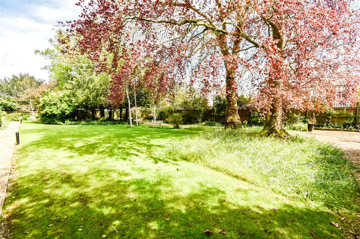 Trumpington Road, CB2, photo 16