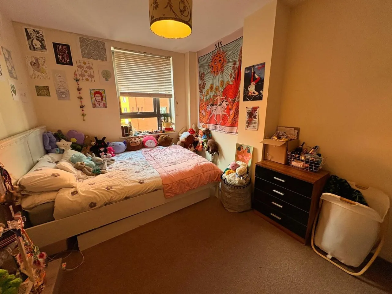 Blantyre Street, Manchester, M15, photo 6