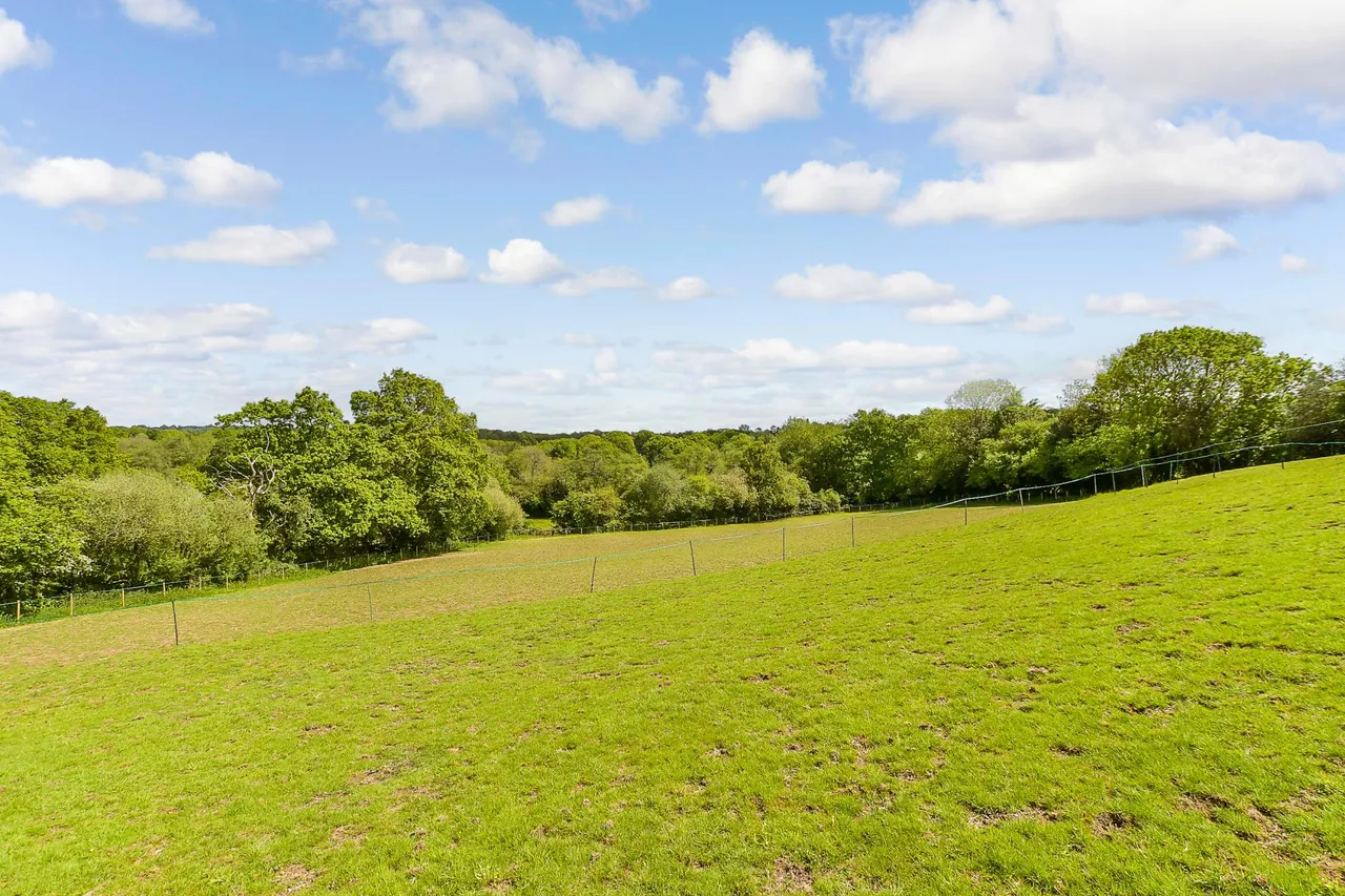 Old Forge Lane, Horney Common, TN22, photo 27