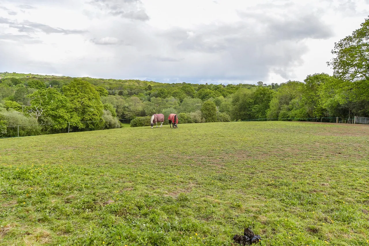 Old Forge Lane, Horney Common, TN22, photo 12