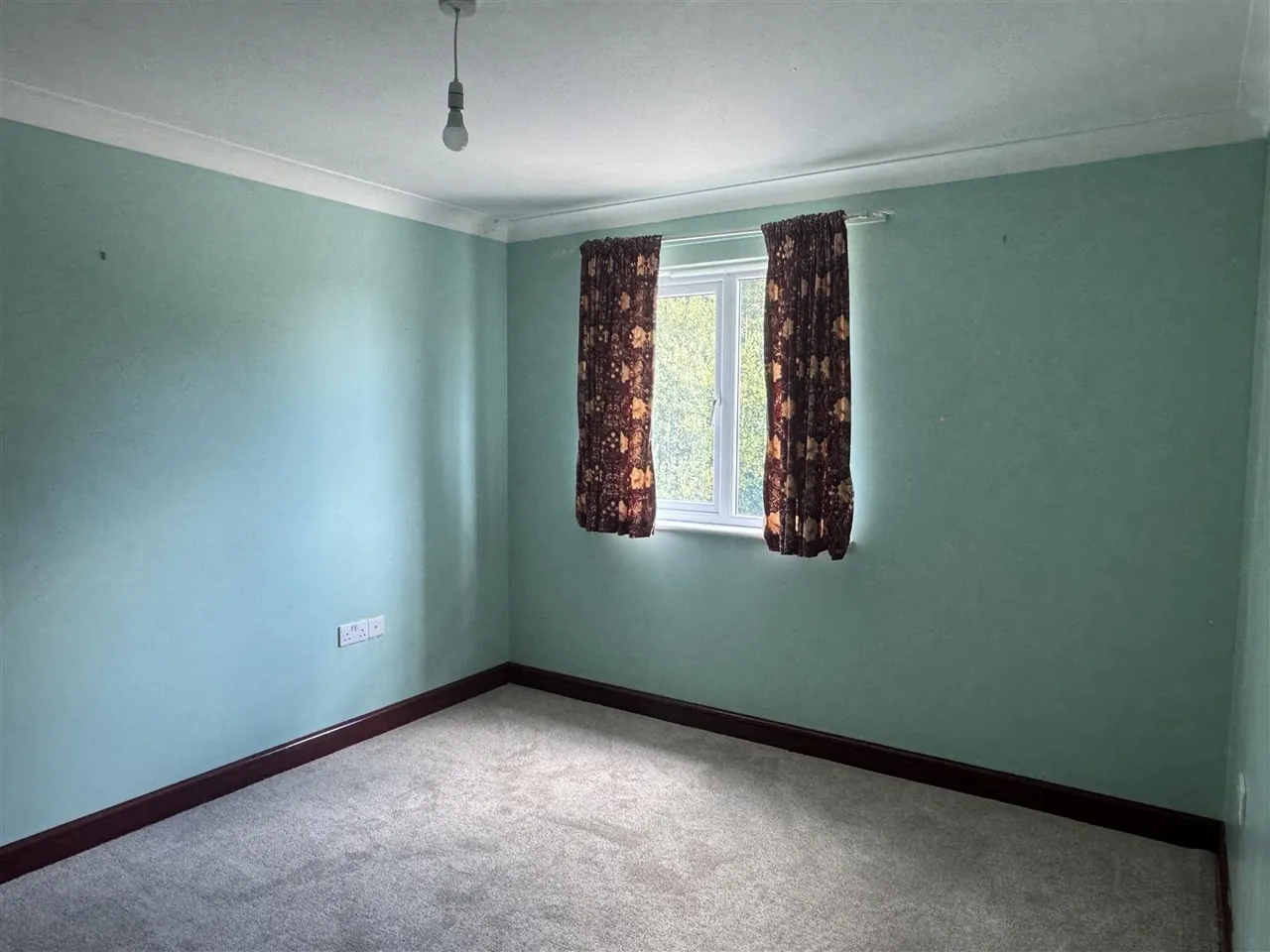 Springfields, Bugle, photo 15