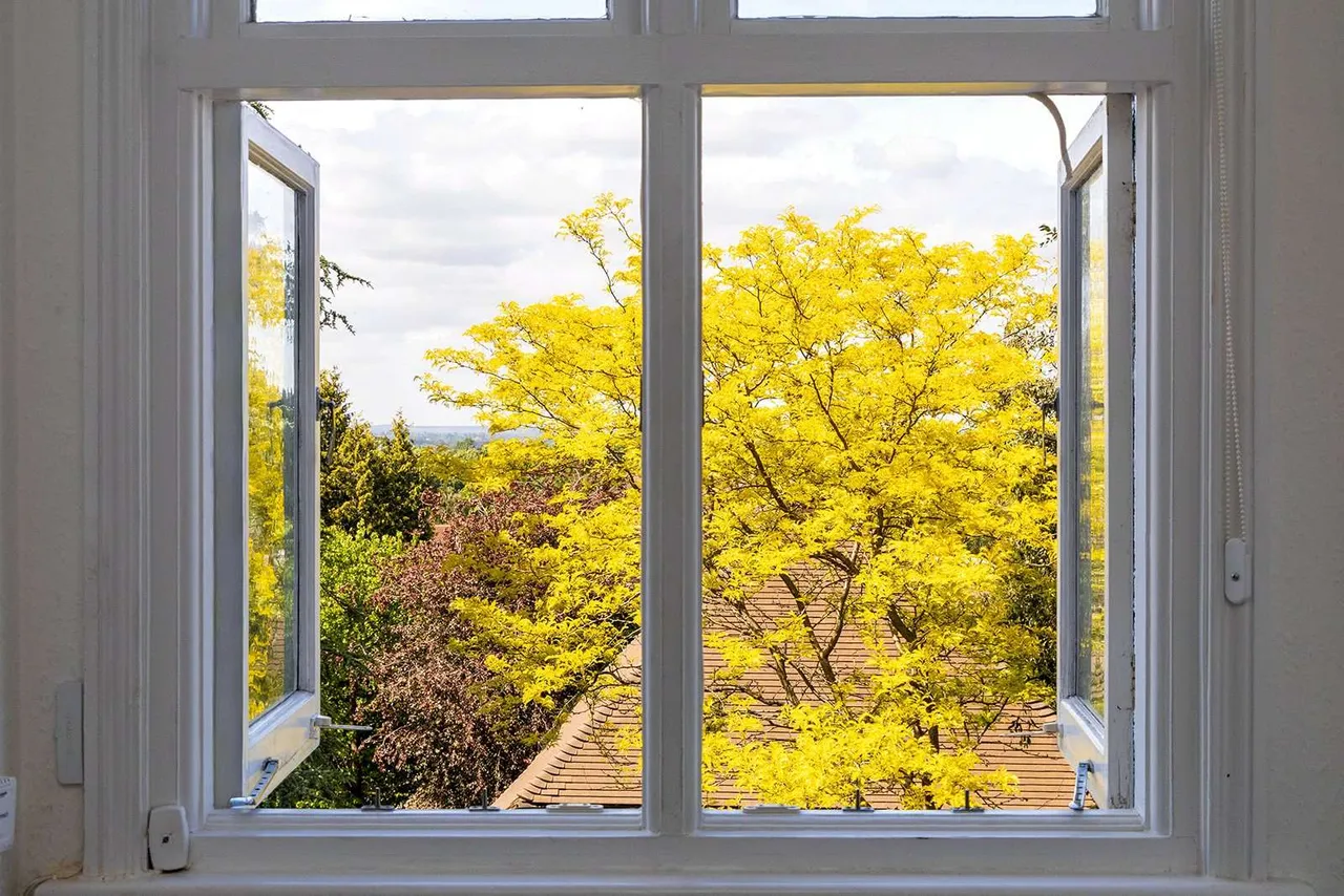 Pit Farm Road, Guildford, Surrey, GU1 2JH, photo 9