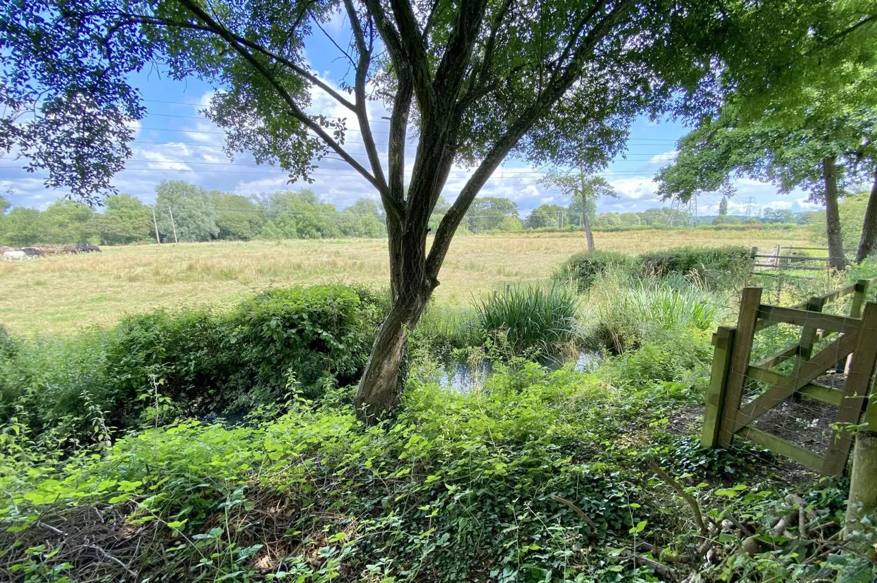 Throop Road, BH8, photo 39