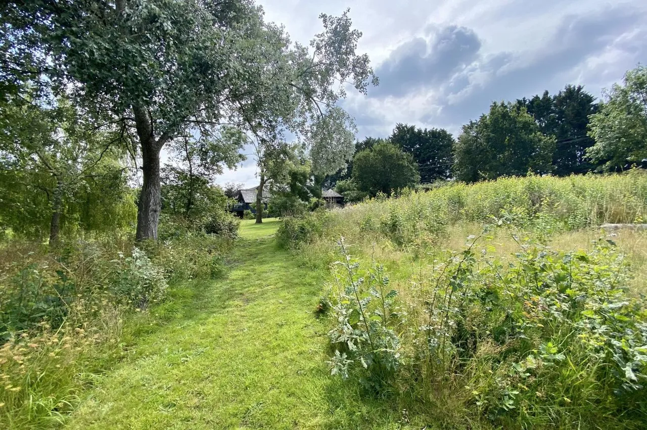 Throop Road, BH8, photo 37
