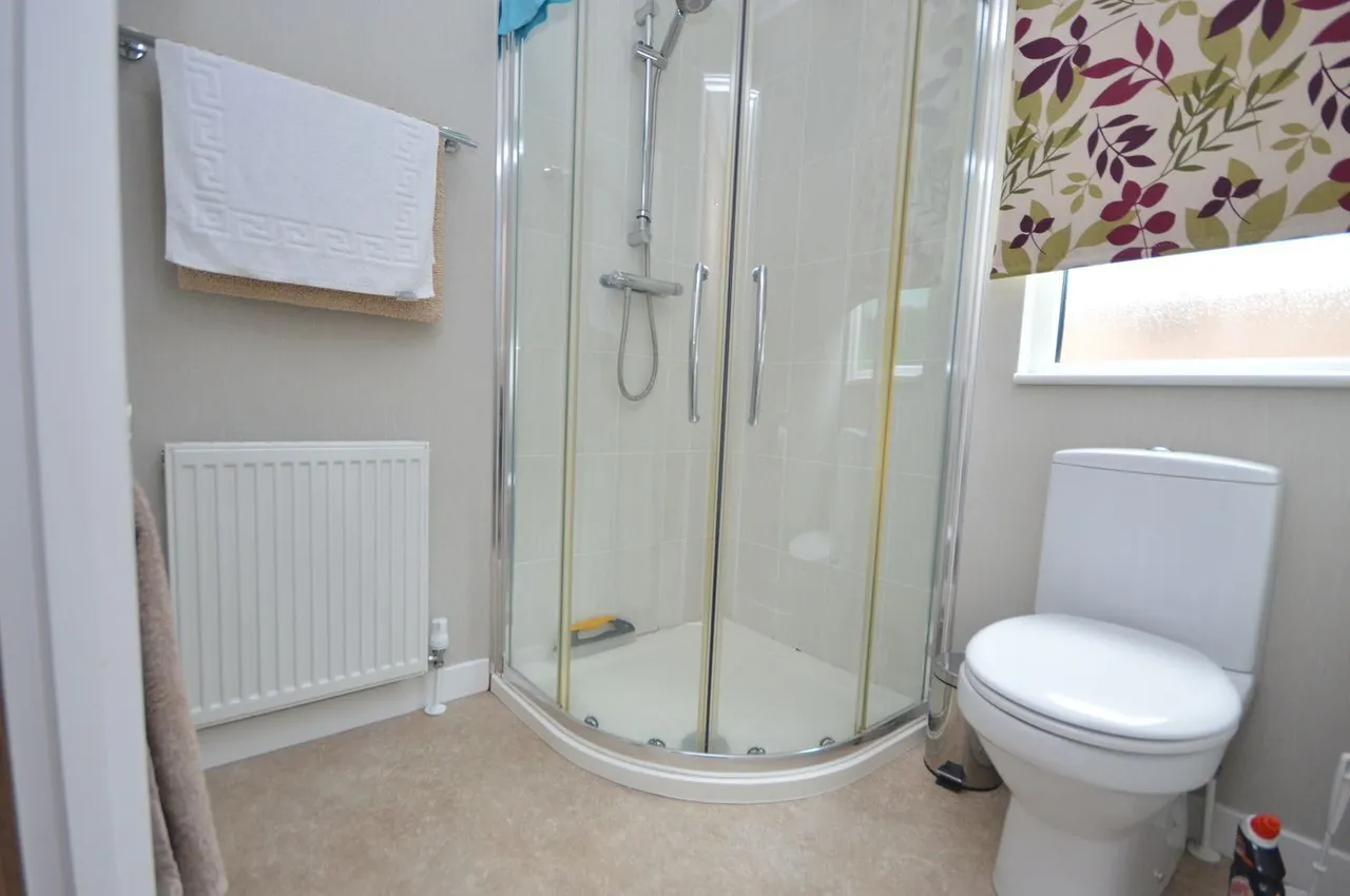 Westhay Moor, Cheddar, BS27, photo 12