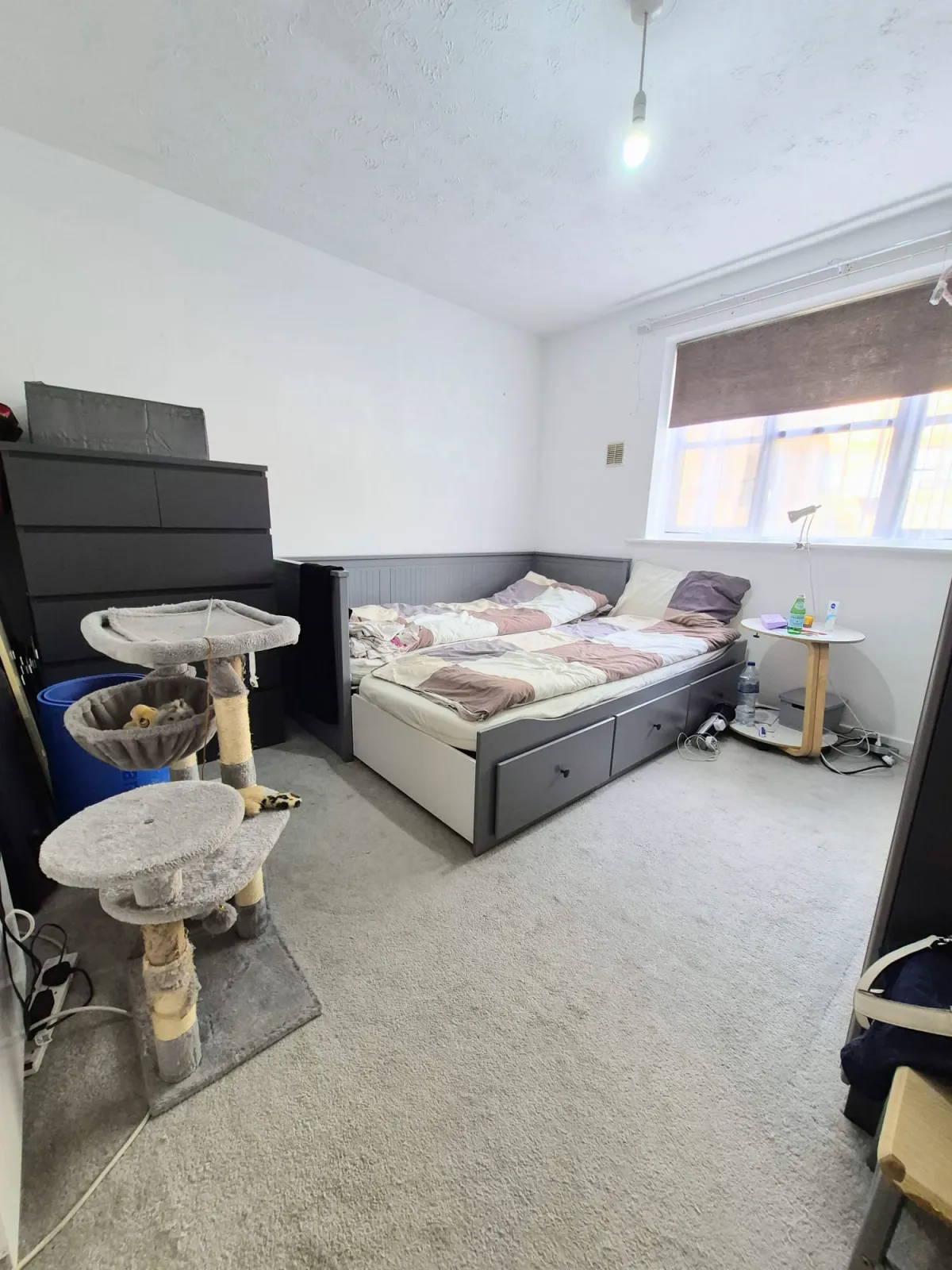 Somerset Gardens, N17, photo 6
