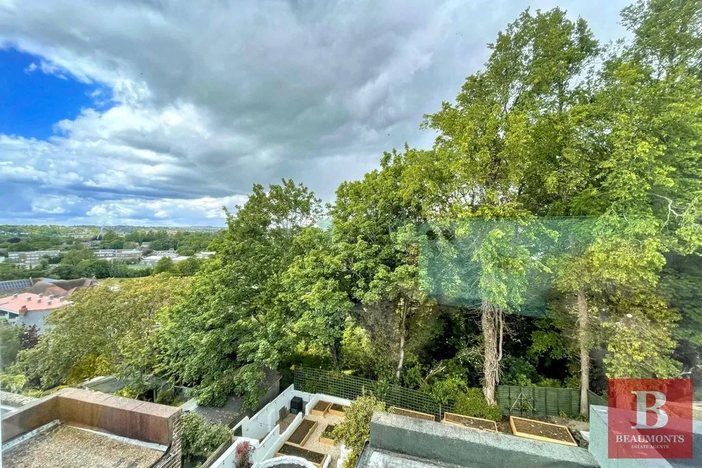 Osborne Road, Brighton BN1 6LW, photo 17