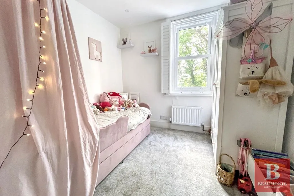 Osborne Road, Brighton BN1 6LW, photo 11