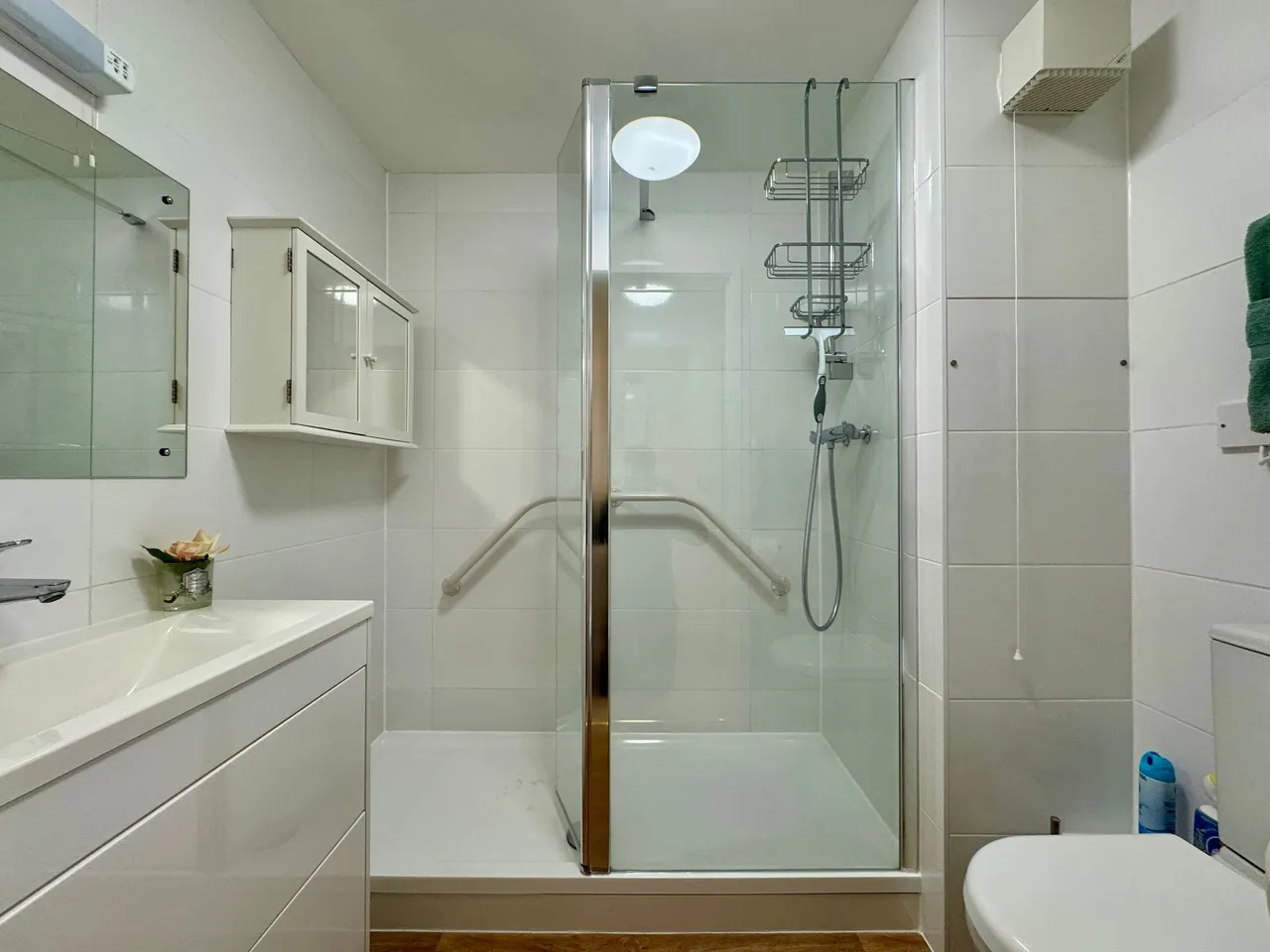 Swan Lane, Dove Court, SN7, photo 9