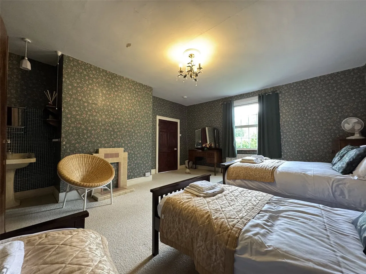 Cemmaes, Machynlleth, photo 21