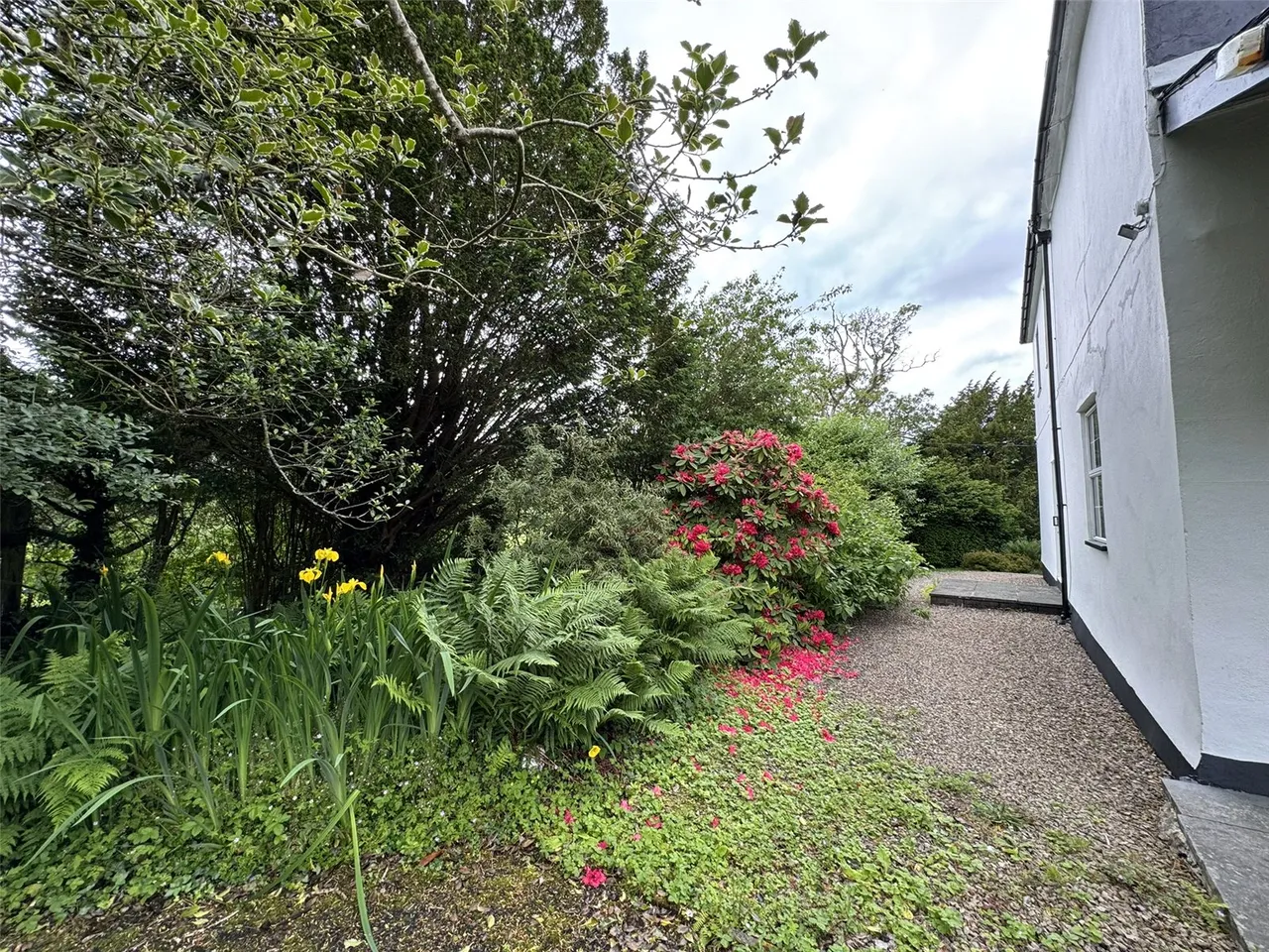 Cemmaes, Machynlleth, photo 38