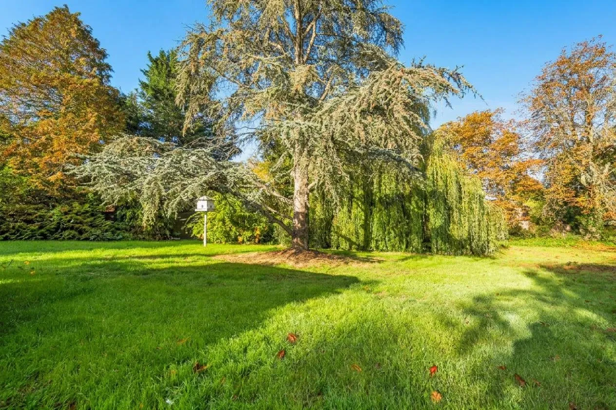 Raffin Lane, Pewsey, SN9, photo 14