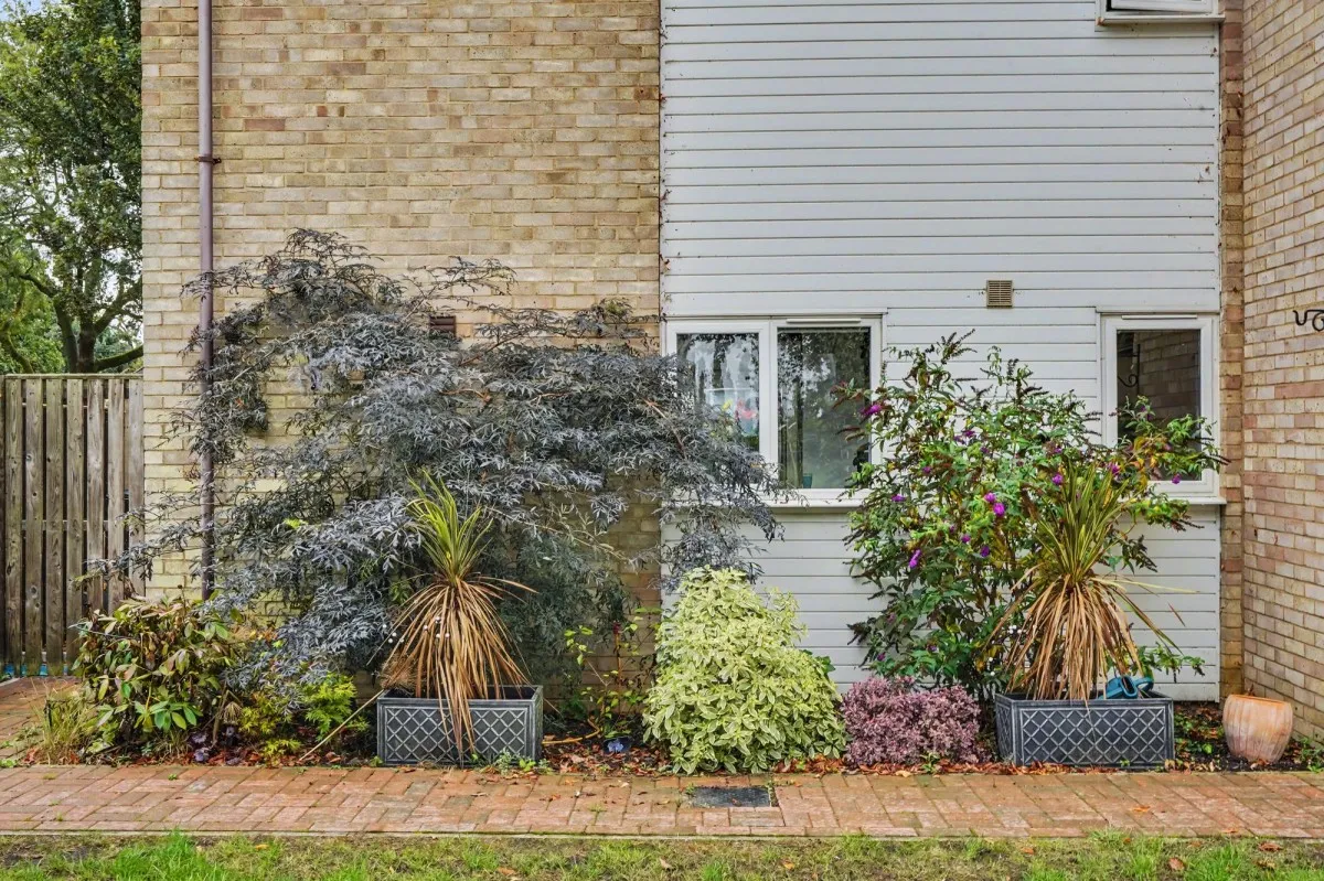 Heaton Close, Ely, CB7, photo 22
