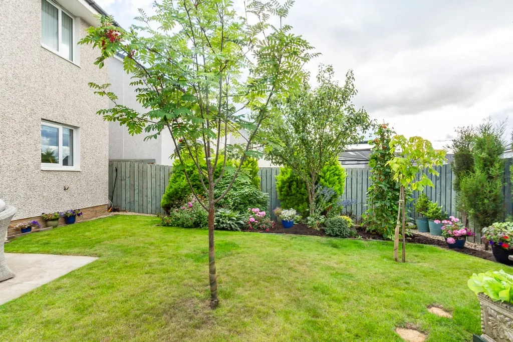 Moonlight Gardens, Arbroath, Angus, DD11 5LE, photo 27