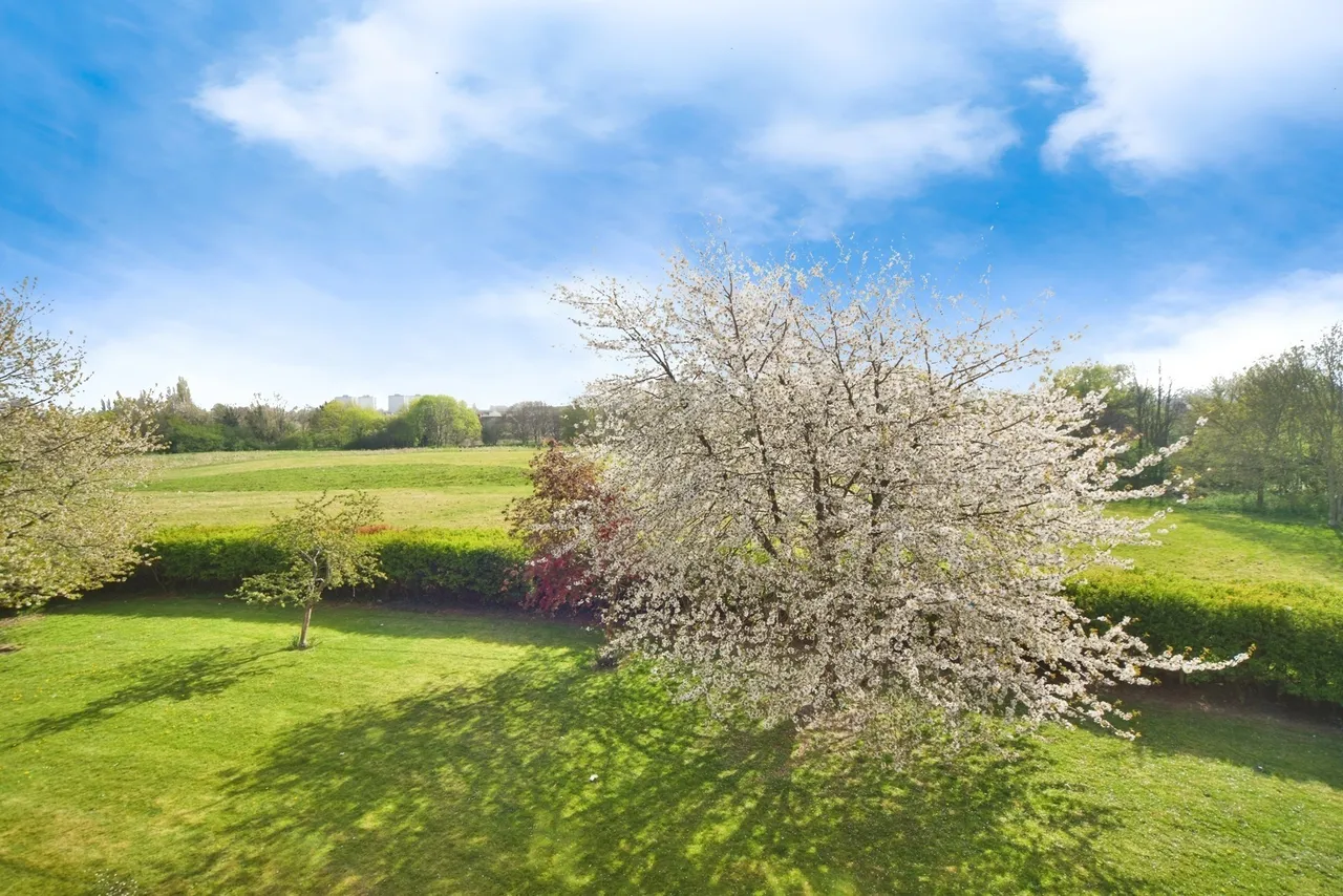 Maltby Drive, Enfield, EN1, photo 15