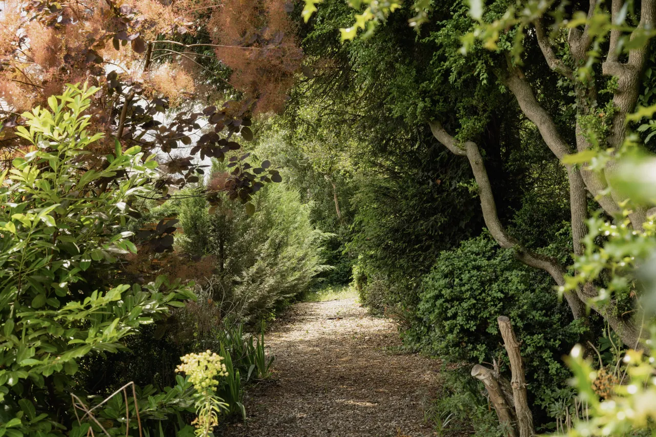 Watton Road, Shropham, NR17, photo 40