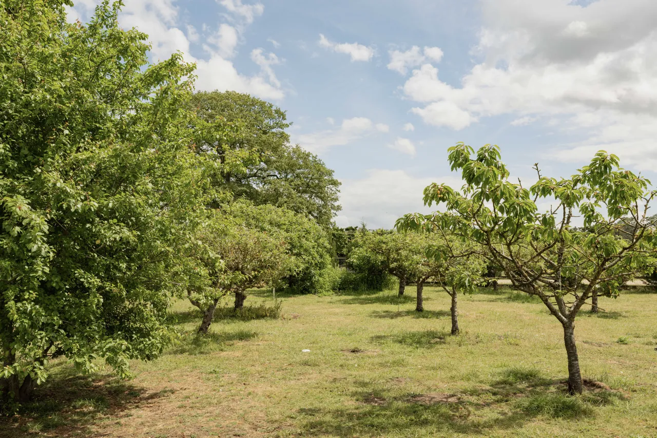 Watton Road, Shropham, NR17, photo 36