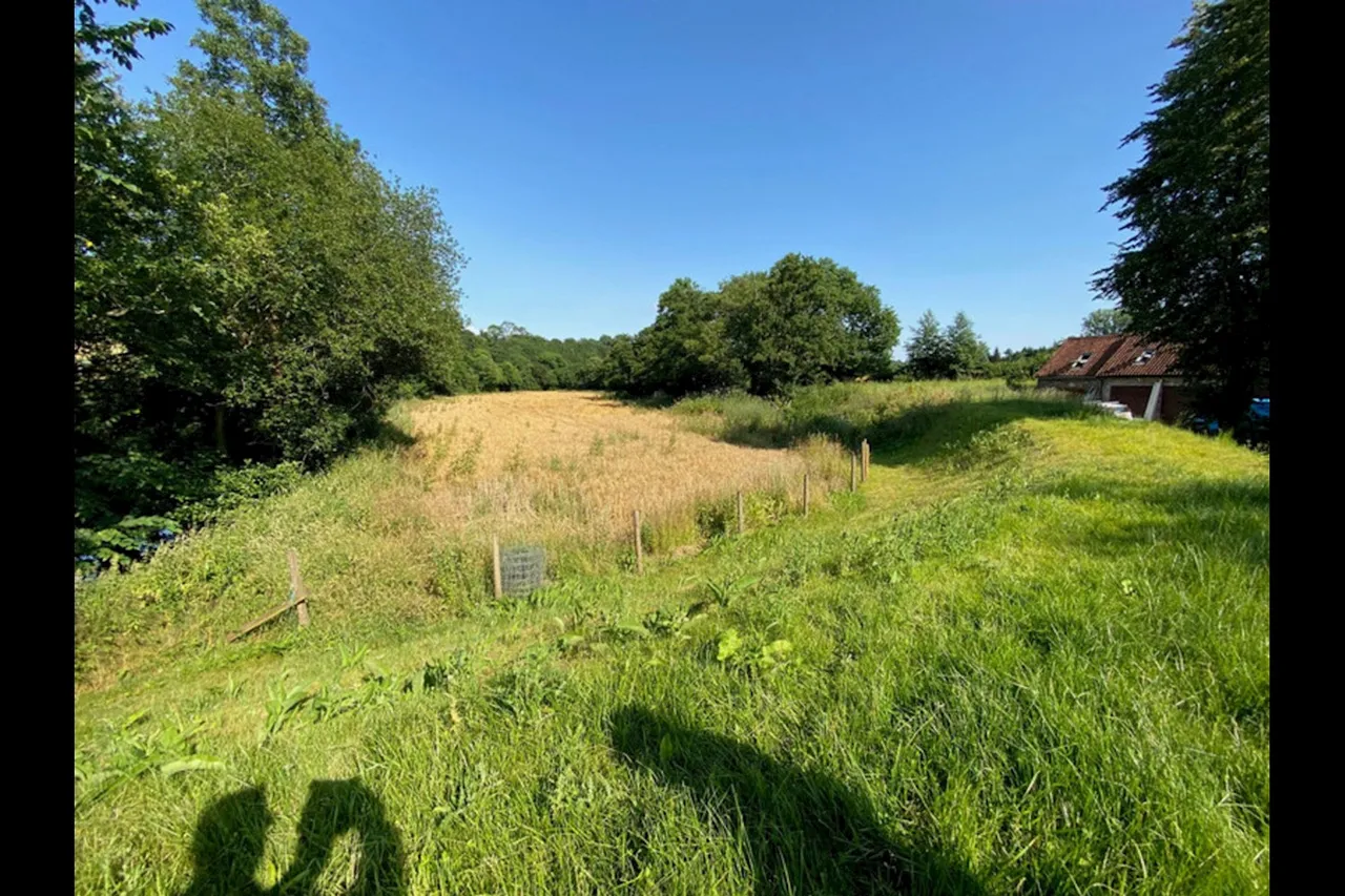 Prioress Mill Lane, Usk, NP15, photo 19