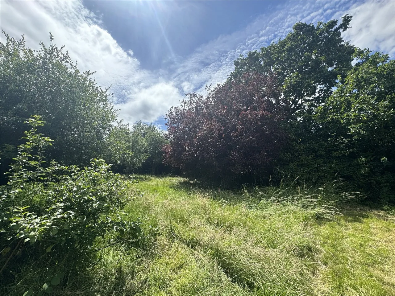 Saughall Road, Blacon, CH1, photo 6